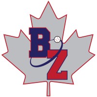 The Baseball Zone logo - Similar company to Baseball Development Group