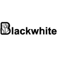 Blackwhite Fashion logo - Similar company to Gottschalks