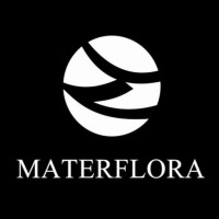 Materflora logo - Similar company to Thea Matcha