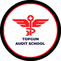 TopGun Audit School logo - Similar company to Viktre