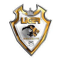 LiGER Security™ logo - Similar company to Virtual Wonders
