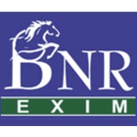 BNR EXIM PVT LTD logo - Similar company to Suki Lifestyle
