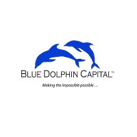 Blue Dolphin Capital, Inc logo - Similar company to Dolphin Blue, Inc.