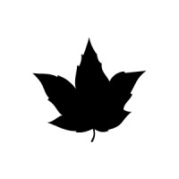 Black Ivy Partners logo - Similar company to Ride To Success