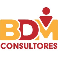 BDM Consultores logo - Similar company to Learn2Work