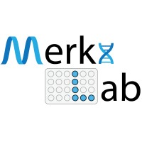Merkx Lab logo - Similar company to De Ridder Safe & Secure