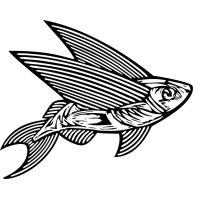 Flying Fish logo - Similar company to Planck Software