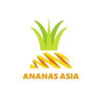 Ananas Asia logo - Similar company to Talentforge