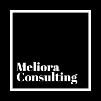 Meliora Consulting Sweden logo - Similar company to Vavis