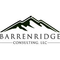 Barrenridge Consulting, LLC logo - Similar company to Skymed Group