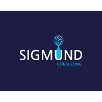 Sigmund Consulting logo - Similar company to Sigmond It