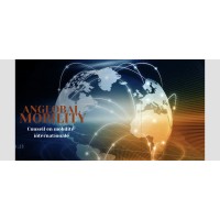 ANGLOBALMOBILITY logo - Similar company to Alchary