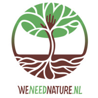 WNN logo - Similar company to Wnna
