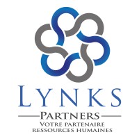 Lynks Partners logo - Similar company to 0