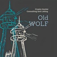 OLD WOLF Consulting logo - Similar company to Atlantico Sul Consultoria E Corretora De Seguros Ltda