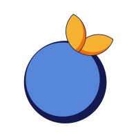 Blue Orange logo - Similar company to Cmon Limited