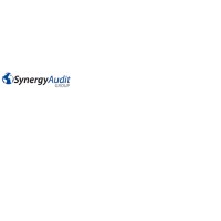 Synergy Audit Group