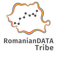 RomanianDATA Tribe logo - Similar company to D'Challenger