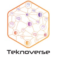 TeknoVerse logo - Similar company to Indigo Icon