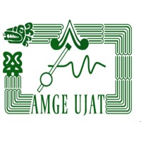 Capitulo Estudiantil AMGE UJAT logo - Similar company to Datametrika Consultoría Estratégica Del Sureste