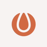 Sheedo logo - Similar company to Gravity Wave