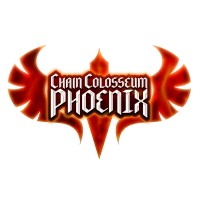 Chain Colosseum Phoenix logo - Similar company to 3Levate
