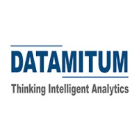 Datamitum logo - Similar company to Innovative Intellect Foundation
