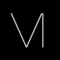 Vision InSites logo - Similar company to Pinnacle Protection