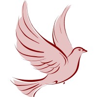 Shared Touch logo - Similar company to Apex Caring Services
