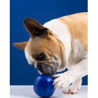 Schnuzzle P/L logo - Similar company to Husse Uk - England & Scotland