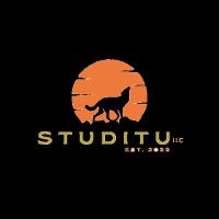 Studitu logo - Similar company to Asis Emerging Technology