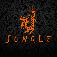 Jungle Casa Decoração Oriental Vasos e Móveis logo - Similar company to Bludecor Decoração De Interiores