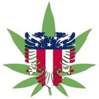 American-Alb Hemp Company logo - Similar company to Arvaloo Group