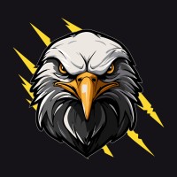 Black Eagle Treinamentos logo - Similar company to Chora Api