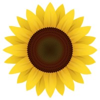 Ukrainian Sunflower Initiative logo - Similar company to Baytrade