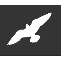 Falcon-AV Ltd logo - Similar company to Falcon Security Technologies
