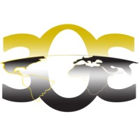 Third Order Effects logo - Similar company to Resolved Analytics, Pllc