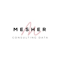 MESHER CONSULTING DATA logo - Similar company to Eduqa