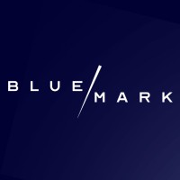 BlueMark logo - Similar company to True Altitude