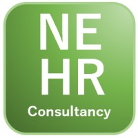NE HR Consultancy Limited logo - Similar company to Pci Logistics