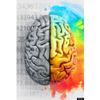 Train Your Brain logo - Similar company to Diverse Cti