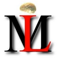 MindLum logo - Similar company to Mindlum