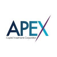 APEX Capital Investment Corporation logo - Similar company to Ain Partners