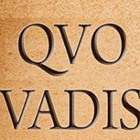 QvoVadis logo - Similar company to Qeat