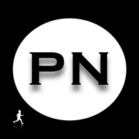 PATRICK NICOLAS logo - Similar company to Millenium Conseils Et Placements Sa