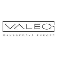Valeo Management Europe logo - Similar company to Gibson Strategic Solutions Ltd