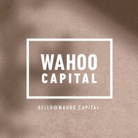 Wahoo Capital logo - Similar company to Belingbak