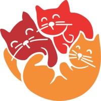 Dimensione Gatto - Cat Luxury Hotel