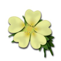 Home & Hearth Caregivers logo - Similar company to Nurses At Home
