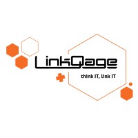 Linkqage logo - Similar company to Scoop Distribution (Pty) Ltd